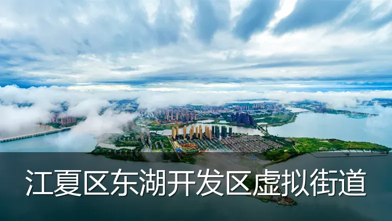 江夏区东湖开发区虚拟街道