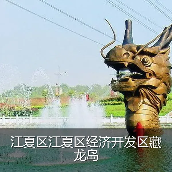 江夏区江夏区经济开发区藏龙岛
