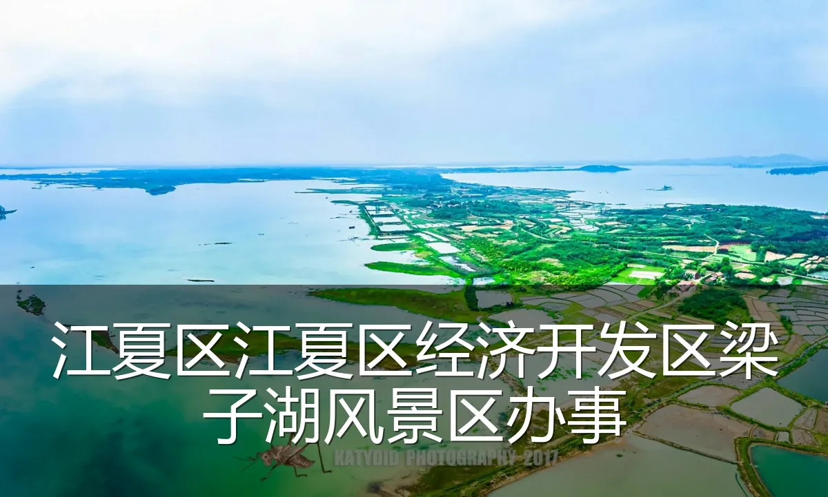 江夏区江夏区经济开发区梁子湖风景区办事