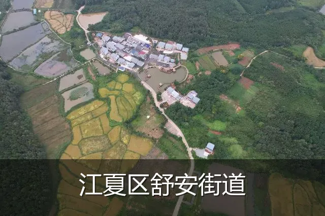 江夏区舒安街道