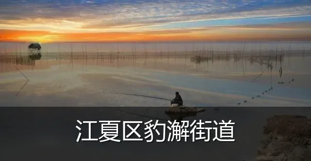 江夏区豹澥街道