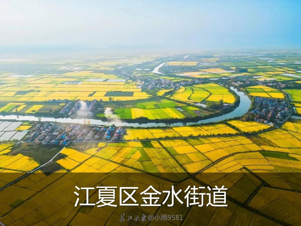 江夏区金水街道