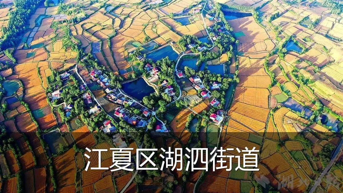 江夏区湖泗街道